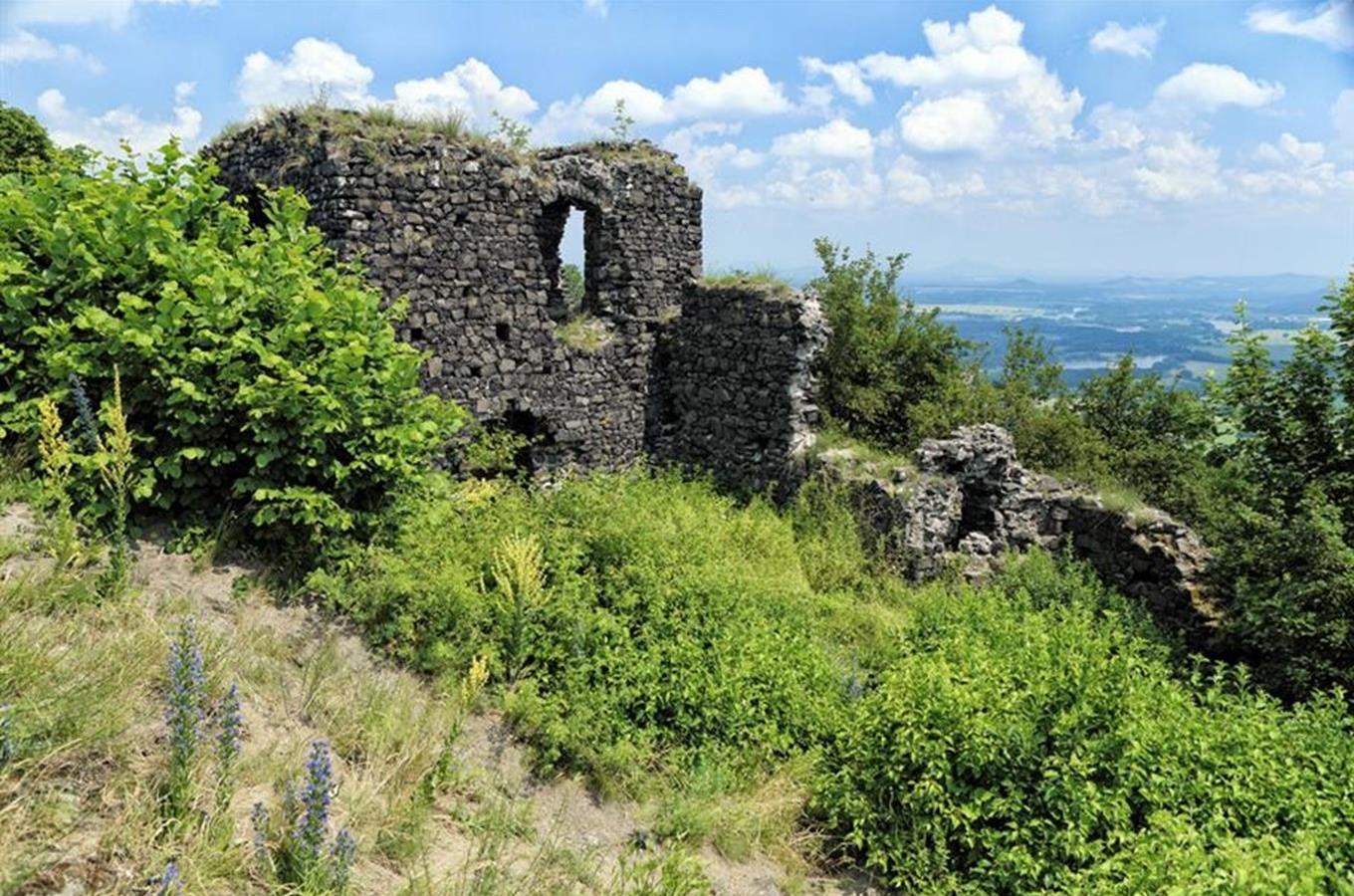 ca1c65a7-3d75-4733-bd4c-350ddbdb8537