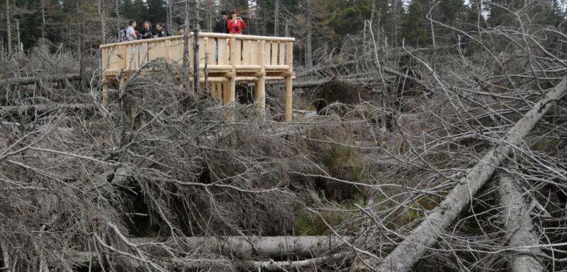 crop-1129650-p200908120511801