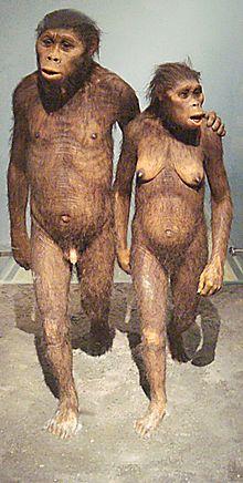 220px-Laetoli recreated