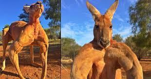 eab9352e-b1ba-4f2f-a088-8685acf212ba