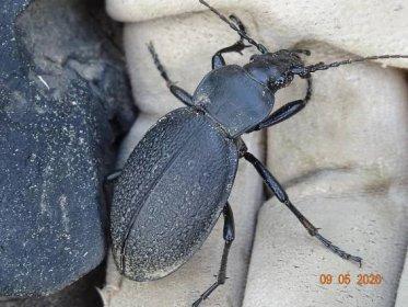 814ac7cf-f0ac-4cb6-8480-e851566b4c0c