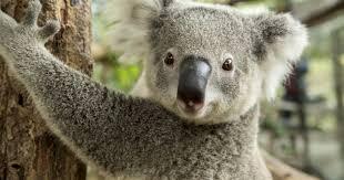 e214b0e7-b994-44bd-8ac4-d473394b4e1e