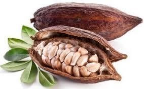 e24199a6-ed81-4299-8706-d4fea14b8b39