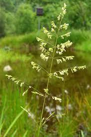 e245f952-50c9-4628-aabb-ae8c21743ccf