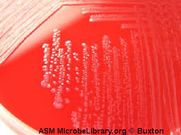 e2a27729-7a4c-4c7a-9874-d325e506447e