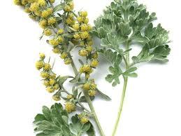 e3f103ae-8cc1-4079-b17b-c54b9bbb1039