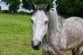 e4b665d0-4787-400e-8edc-1256ca20adaf