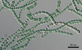 e5f8bc44-f046-4cc9-a6da-73e186d93efd