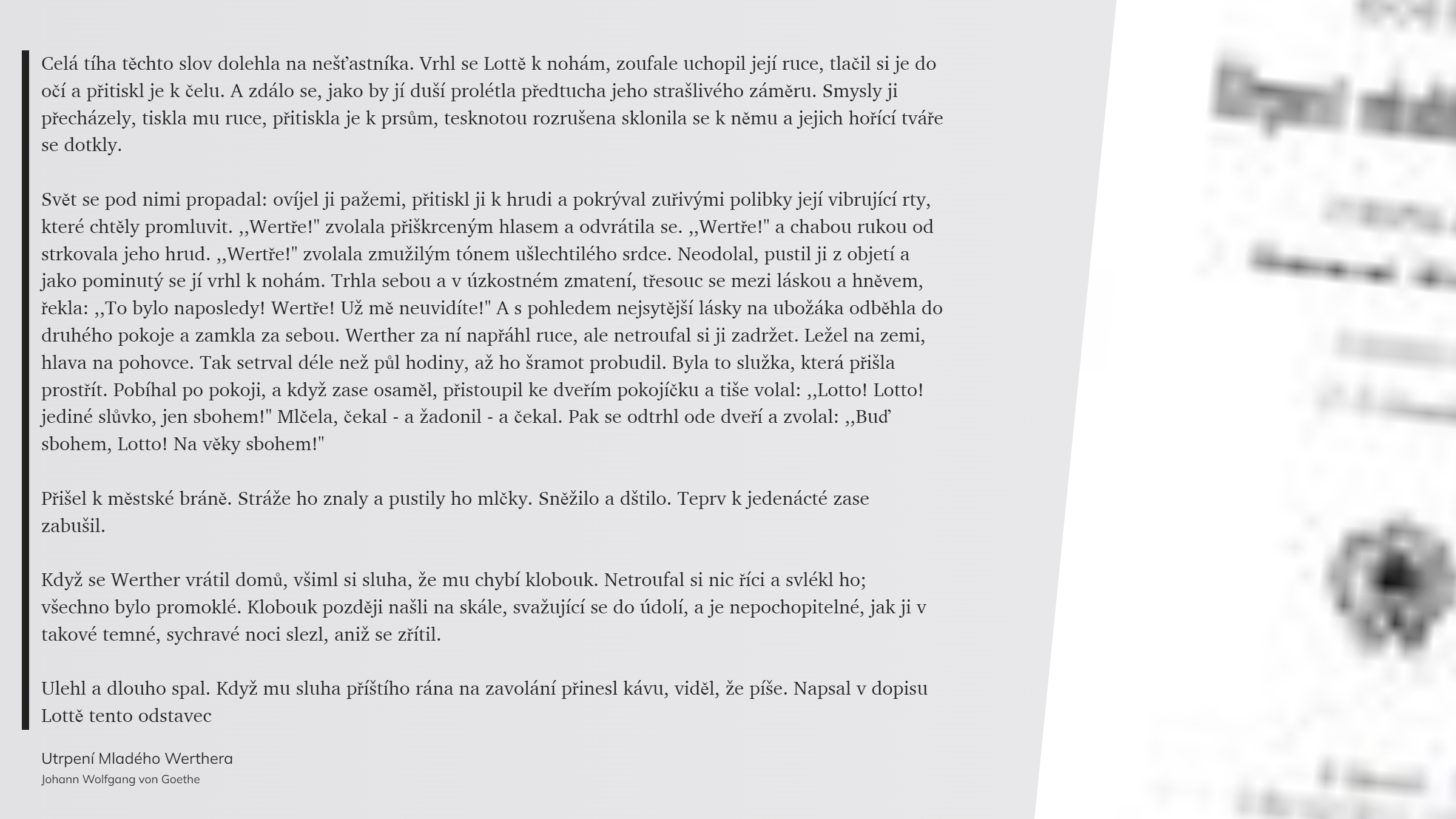 Utrpení Mladého Werthera (51)
