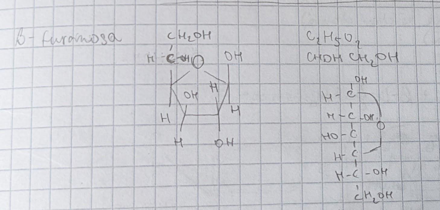 PXL 20220930 105131495