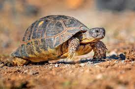 e5219945-2428-4489-b624-38362ebfde5f