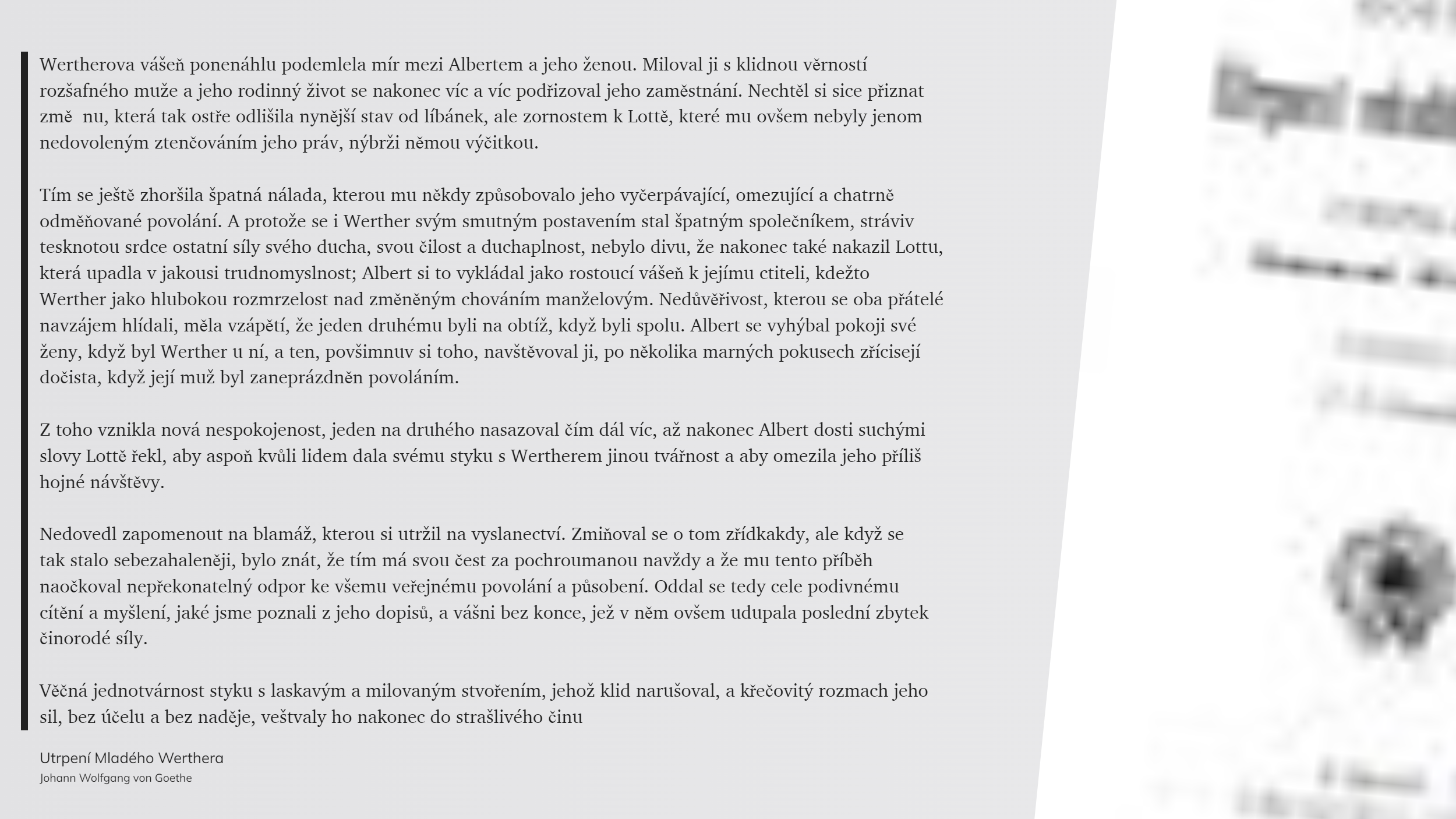 Utrpení Mladého Werthera (46)