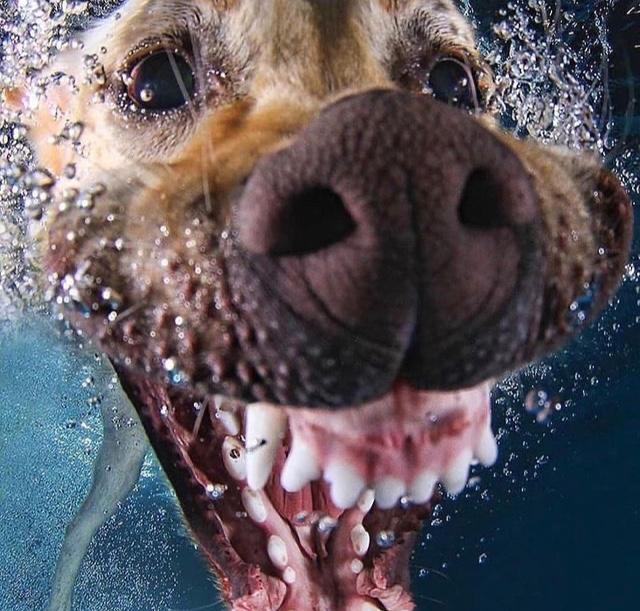 30AE6AC8-D39A-4A7D-800E-7E1F1EAF39C1