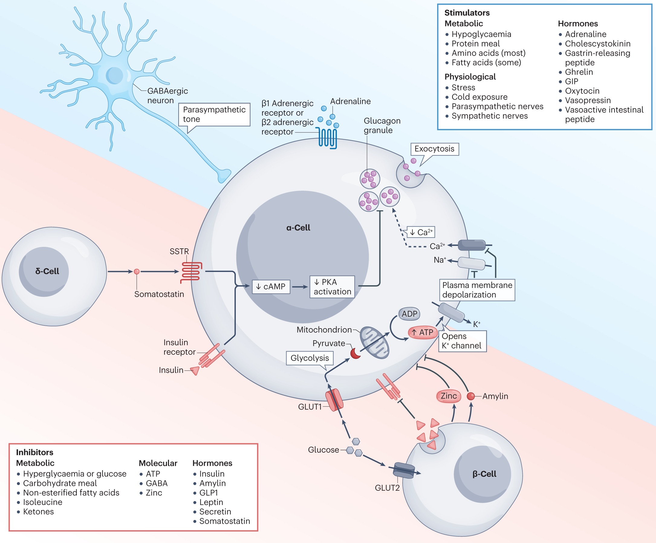 41574 2023 817 Fig3 HTML