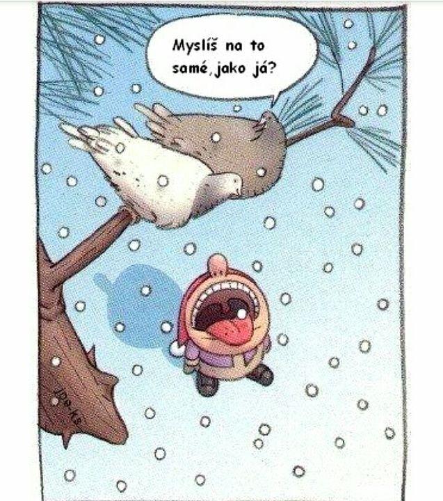 68747470733a2f2f73332e616d617a6f6e6177732e636f6d2f776174747061642d6d656469612d736572766963652f53746f7279496d6167652f706e5f6c31684a4f306374364a413d3d2d3431322e313537316365386431376464373137313437353938363838373036392e6a7067