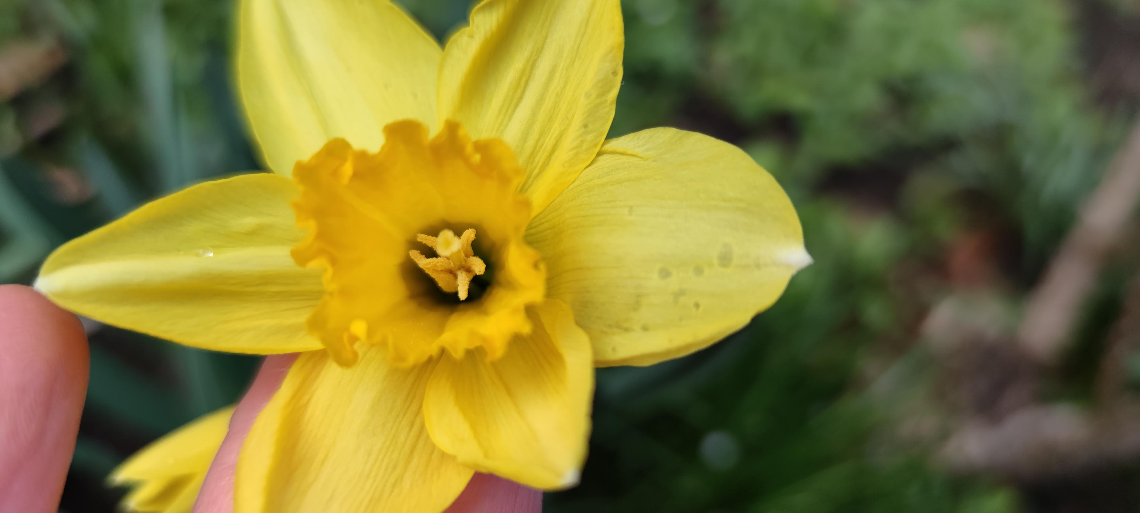 16178095307456789557229412982624