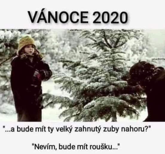 120514570 1423141244547048 5124468885249460593 n