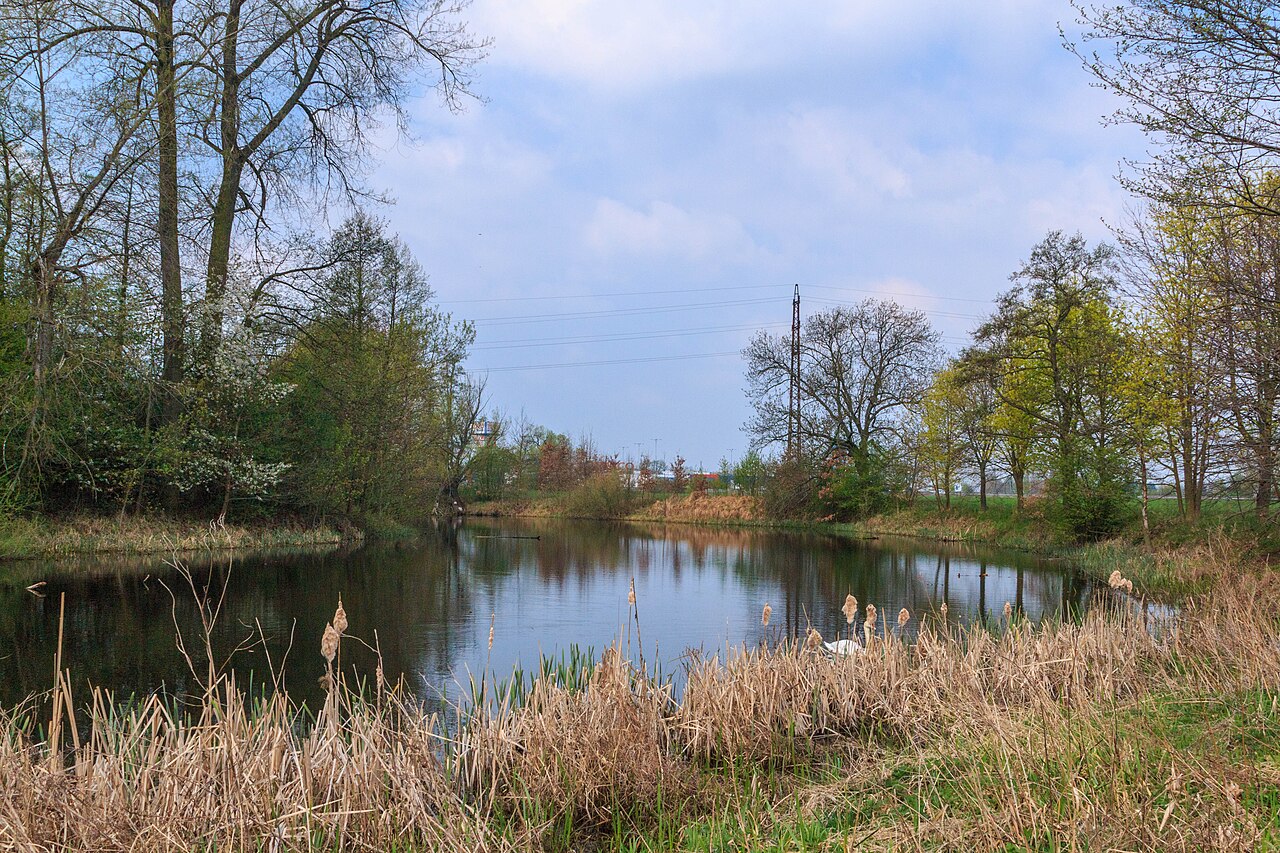 Farské jezero 05