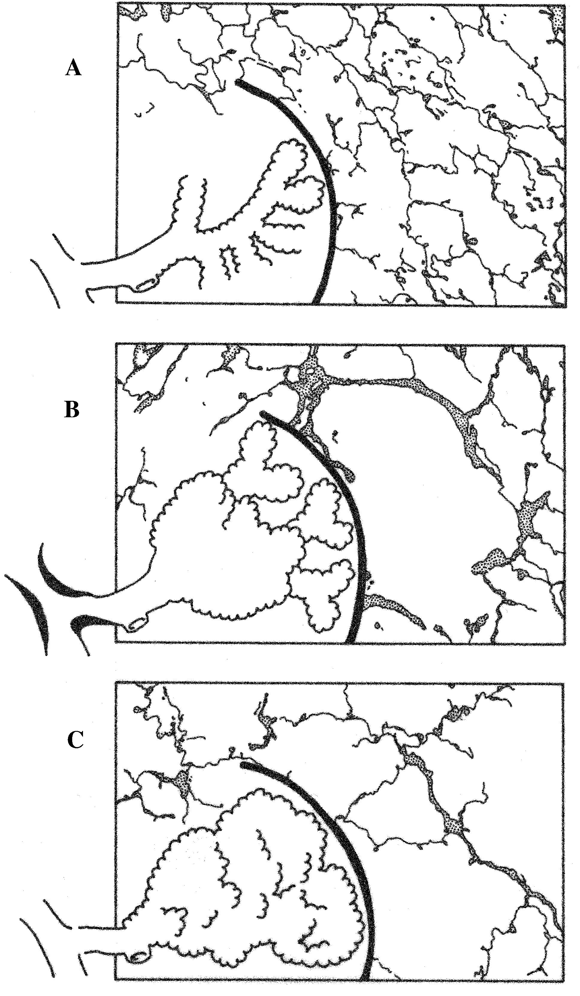 2021 Patologicka fyzio 1 Page 367 Image 0001