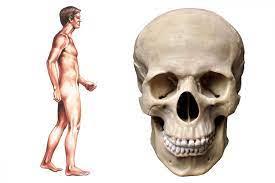 ebeb7933-2780-4600-8487-6d4848c4cbda