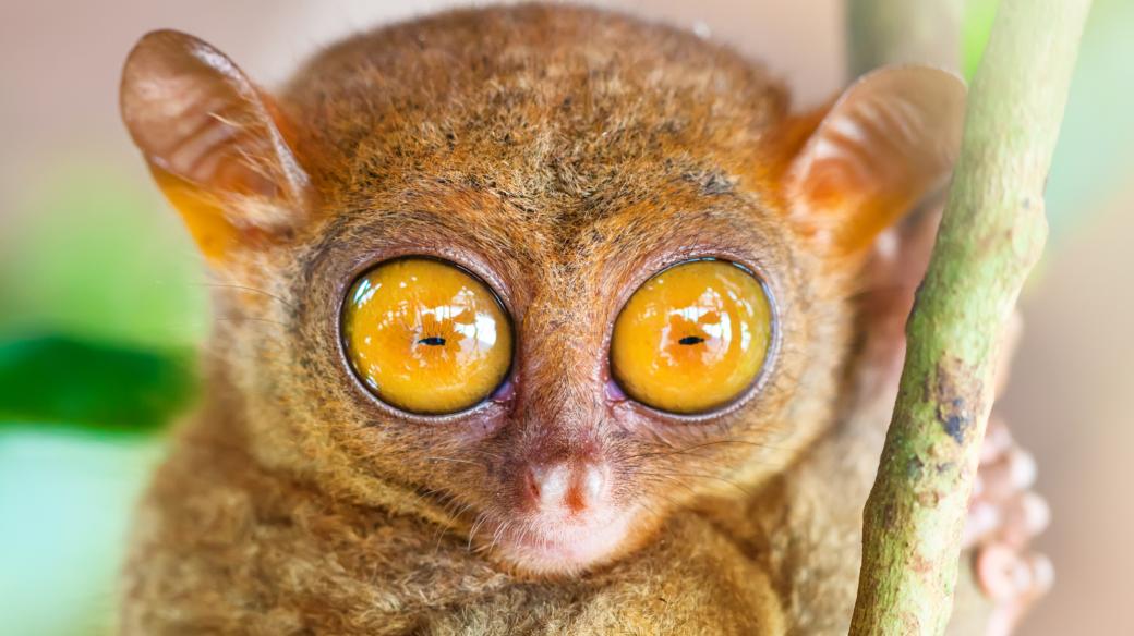 b4686259e7ab0fa1389b991c8e4e2b07