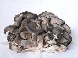 ec25a067-cfe6-494c-a368-bae2a25f3d47