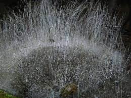 ec371a70-4668-437f-befd-fb7f40c2eb47