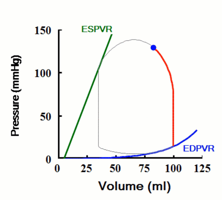 CC3A5E67-D633-462E-9DCC-C2E6B823411E