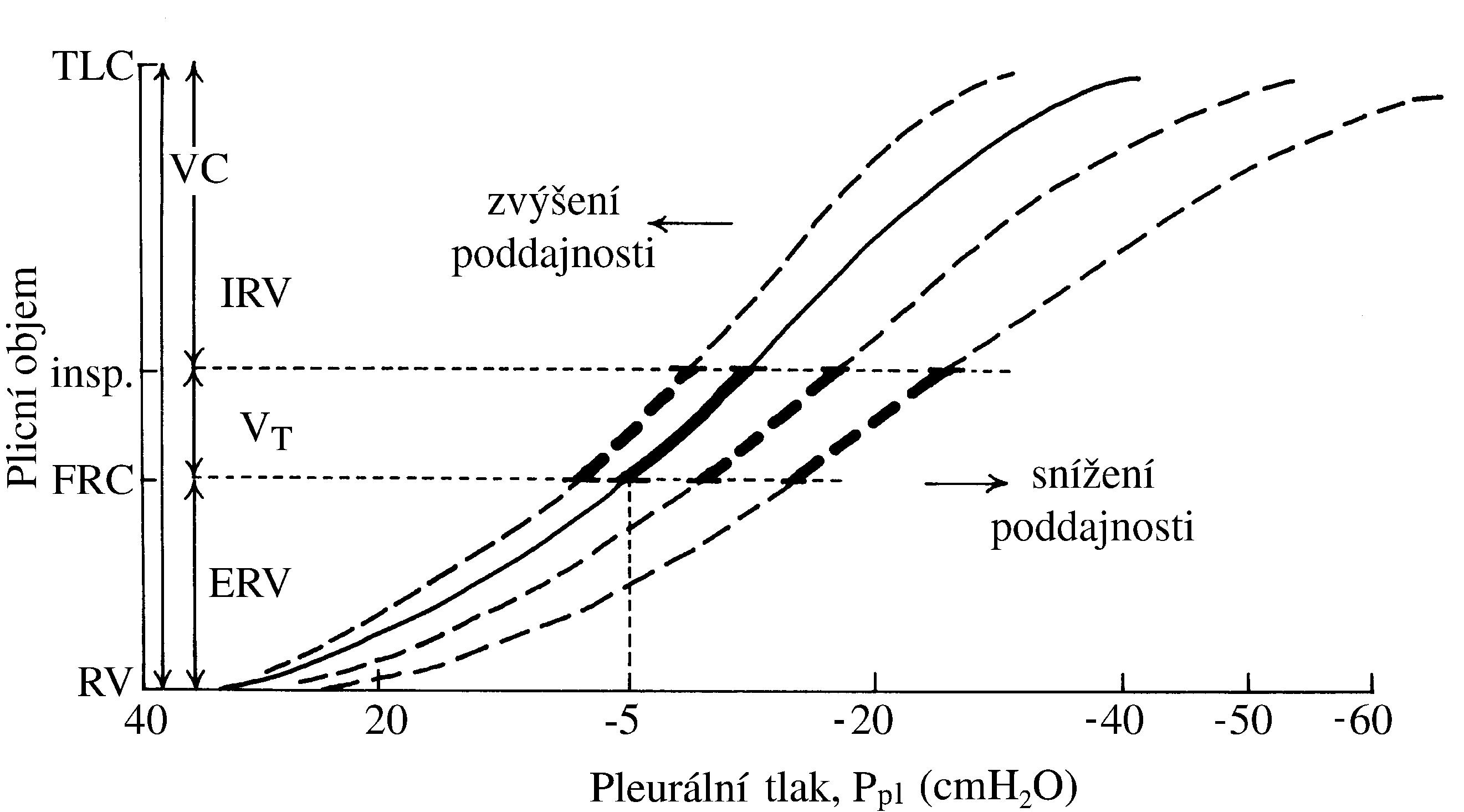 2021 Patologicka fyzio 1 Page 314 Image 0001