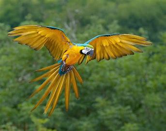 ed0954ae-5b8b-43b9-bdd6-8f0397debd68