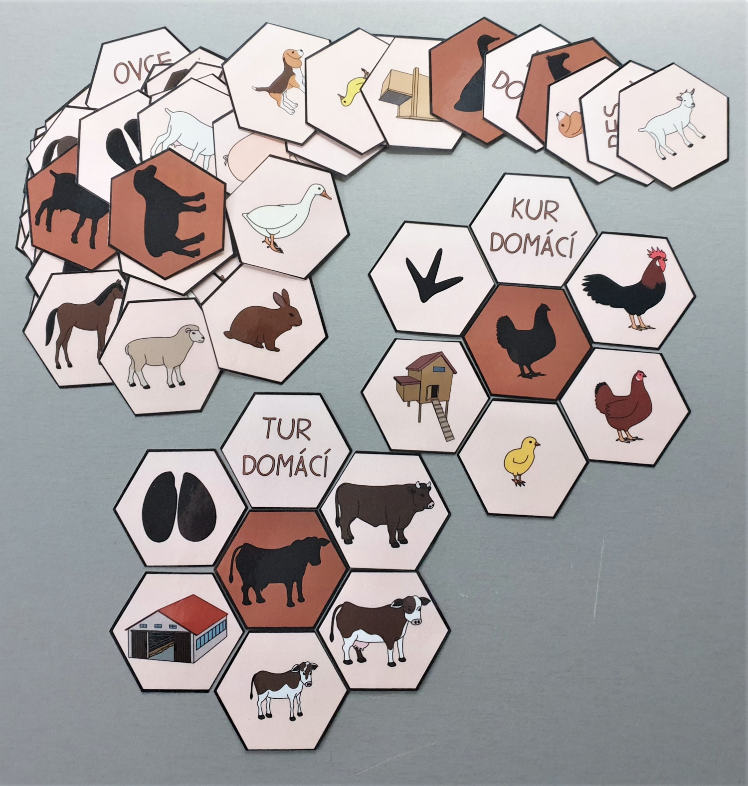 domaci-zvirata--wn2Wn