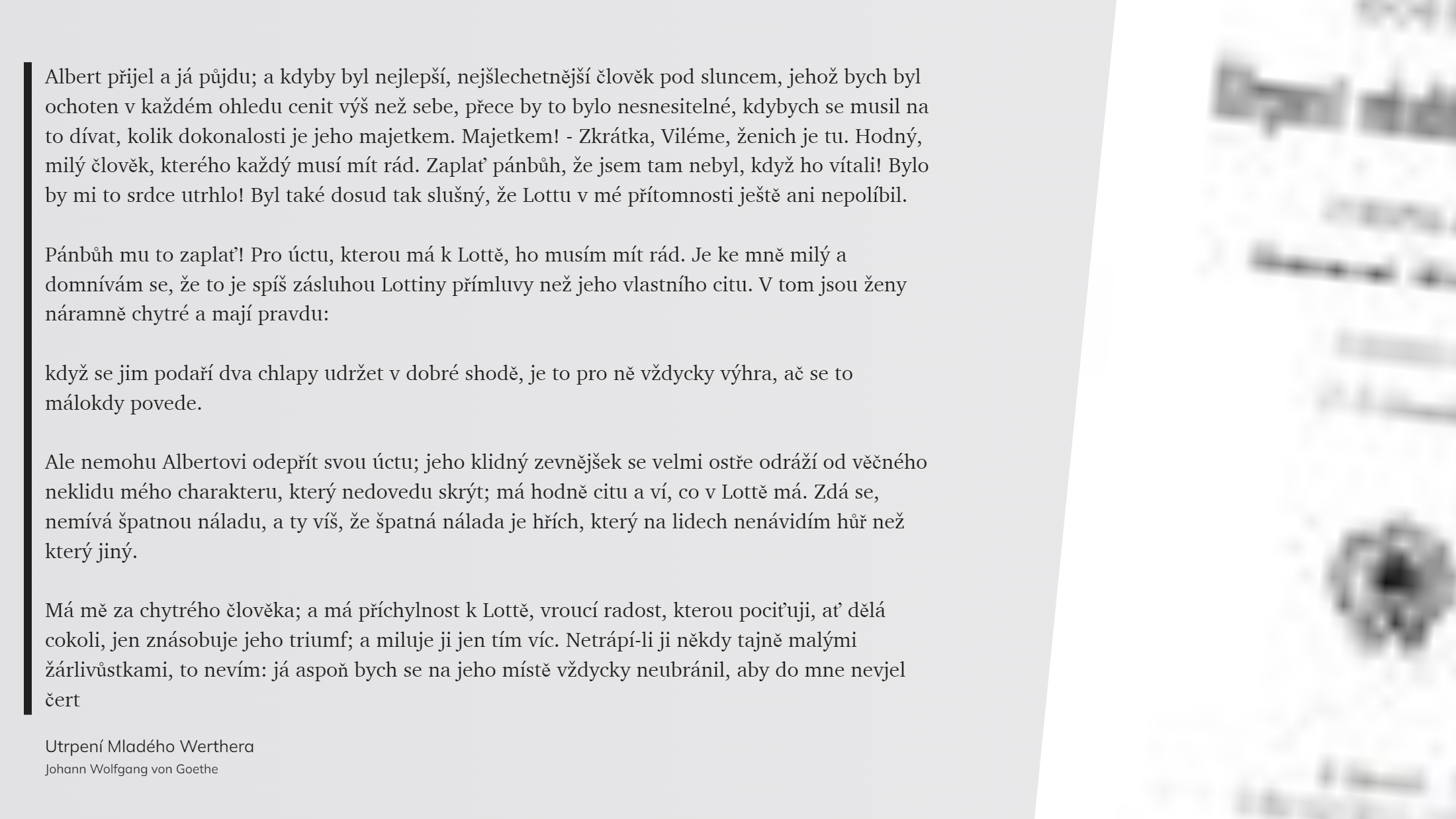 Utrpení Mladého Werthera (20)