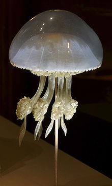 220px-Museum Histoire Naturelle Geneva Blaschka Rhizostoma pulmo 21102014