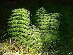 ef634866-25df-4b47-8c05-d9836206fb34