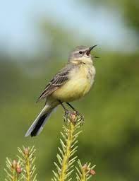 ef810adc-1d31-476a-9759-d3e8583492b8