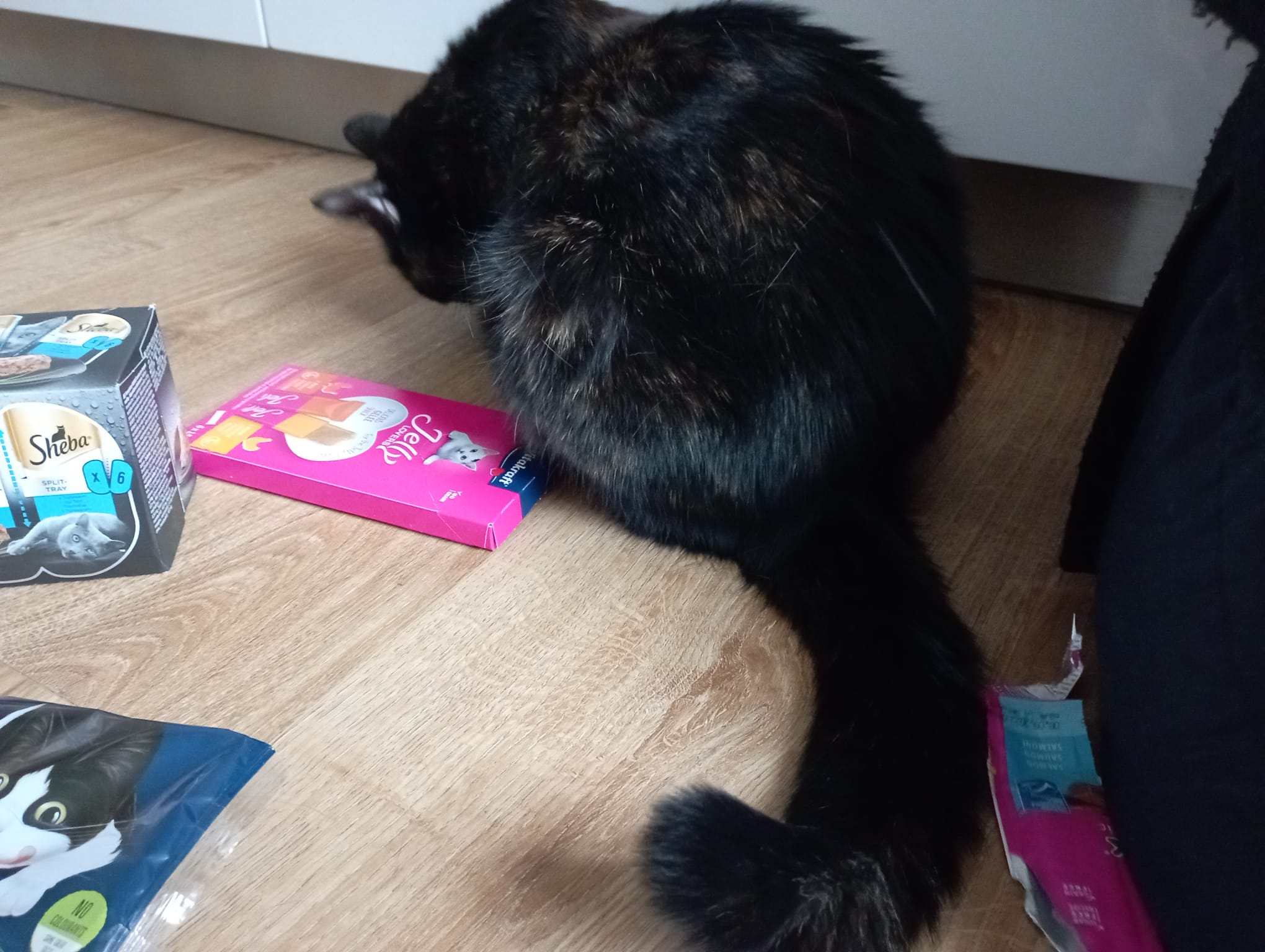 4214e65a-5b9b-45c2-843e-23a6e51ef057