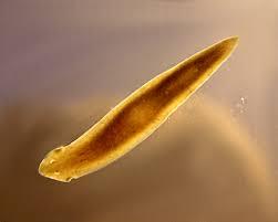 f060568a-45e4-4fa6-83c2-d2d9c2d3a753