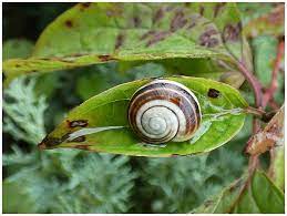 f0a4baa5-d800-4ba1-b16f-8530fc4b2c4e