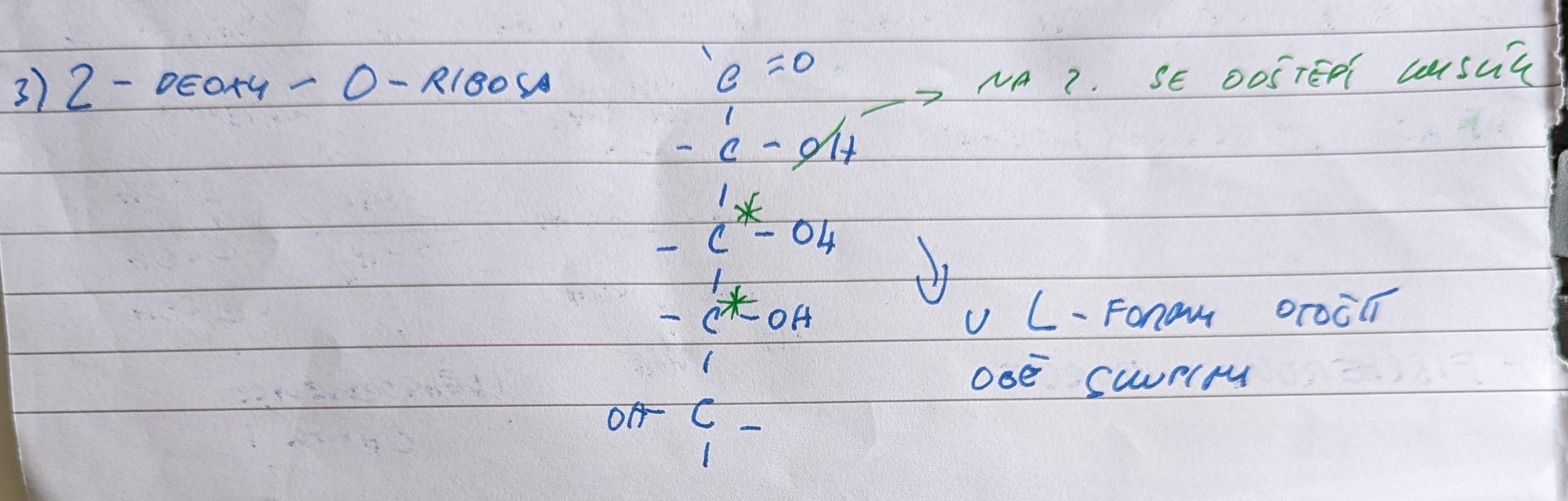 PXL 20221001 103556357