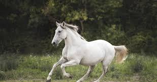 f25bc448-3a13-4cca-add3-514547b84e13