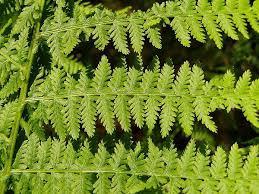 f2986e36-207c-4c36-ba30-7dd61364bc50