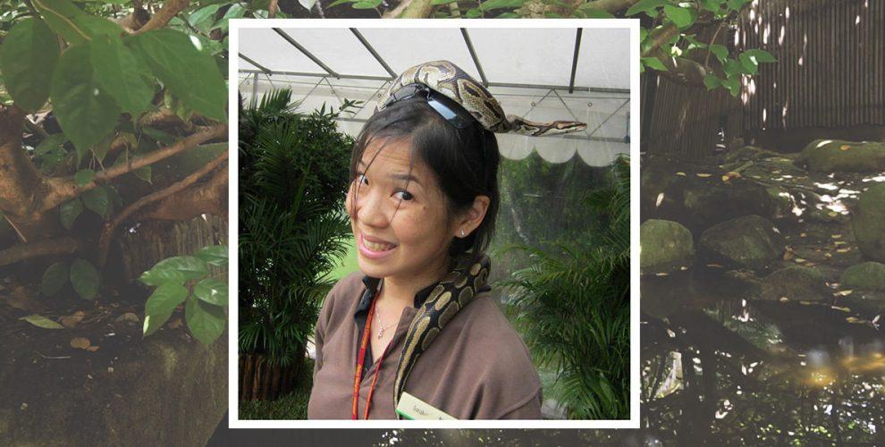 zookeeper-singapore-cover-1-990x500