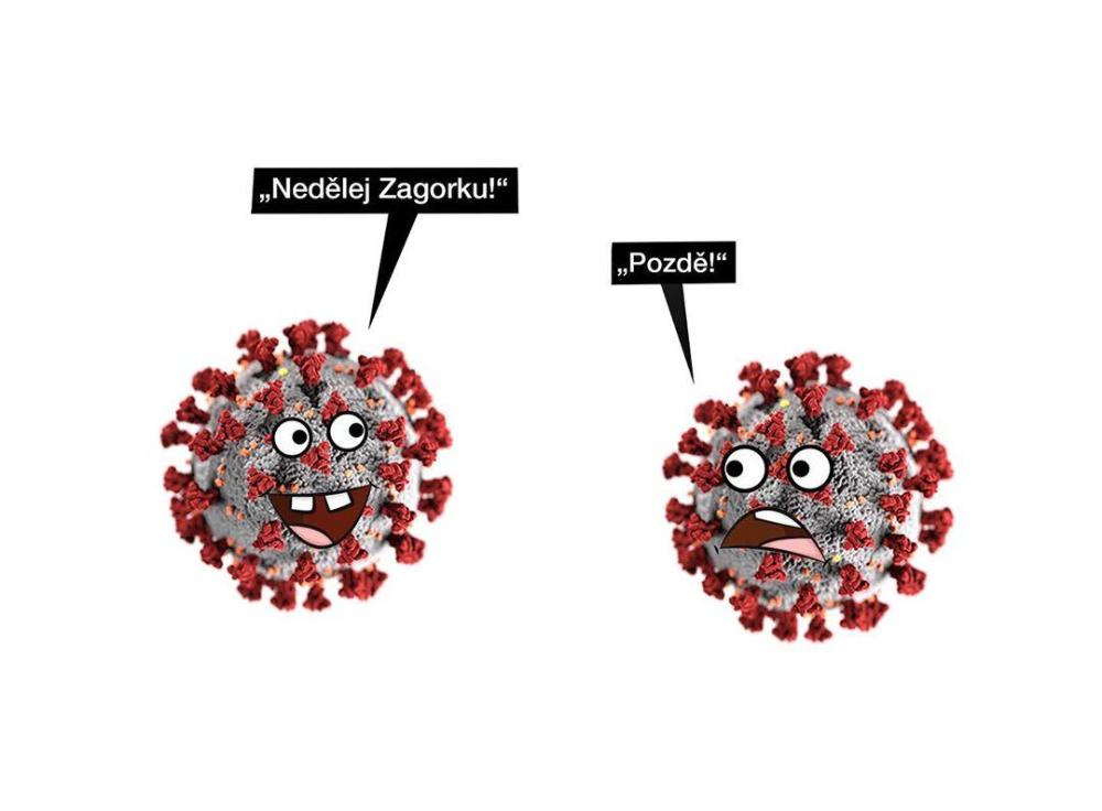 118825288 309604210138347 4547420208769494399 n