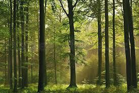 f3f8d67e-e34a-455f-85fd-0656a420be5a