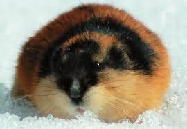 f3d8b132-beac-4811-8209-524643cd2239