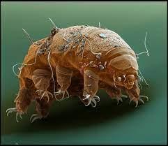 f3055823-3ab8-48ad-8257-ac45eedbc465