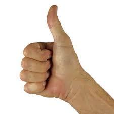 f3ac0473-f055-4cbe-b00a-08de0c7fa9ad