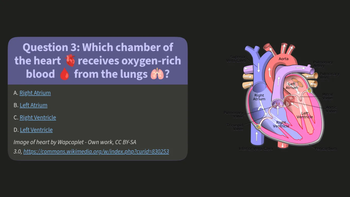 Quiz about human body