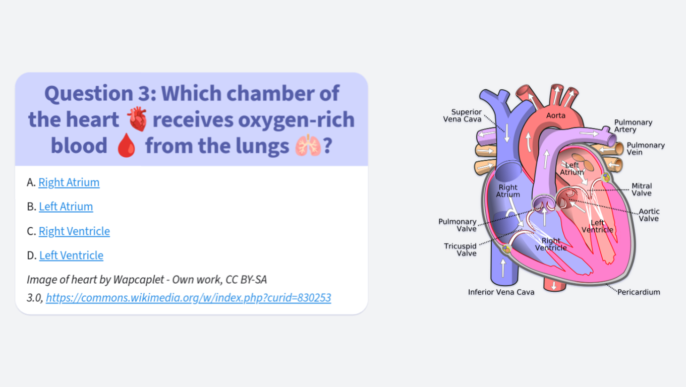 Quiz about human body