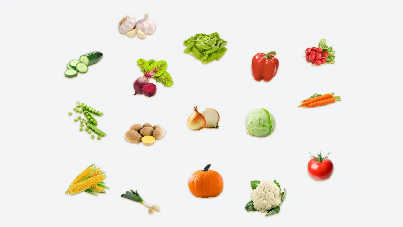 Zelenina - овочі (flash cards) 🥒